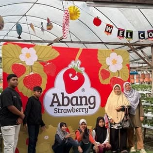 Pengunjung di ladang Abang Strawberry